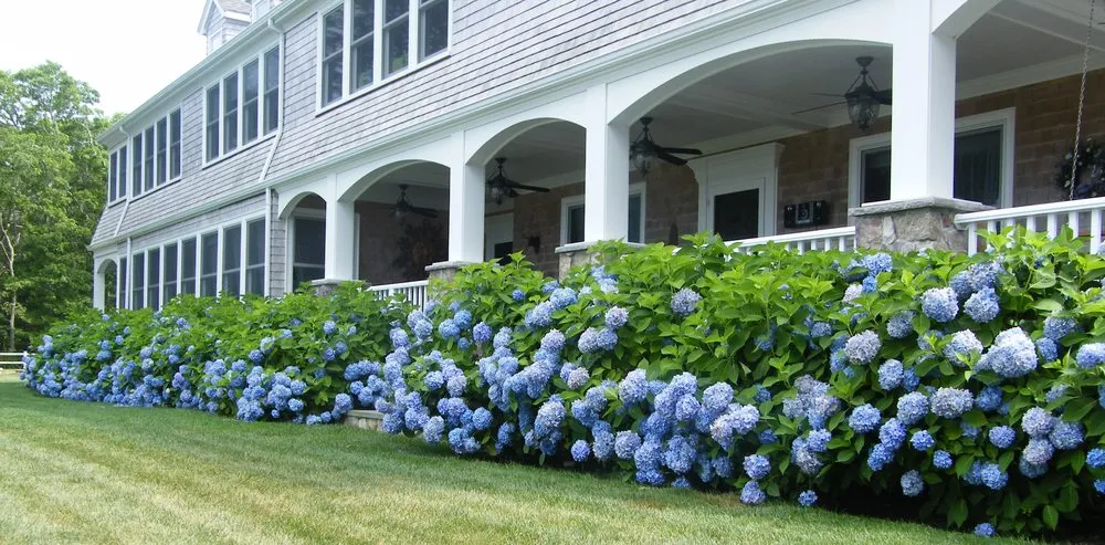 Trusted landscaping services experts serving Falmouth, MA - Angela Rose Gardens