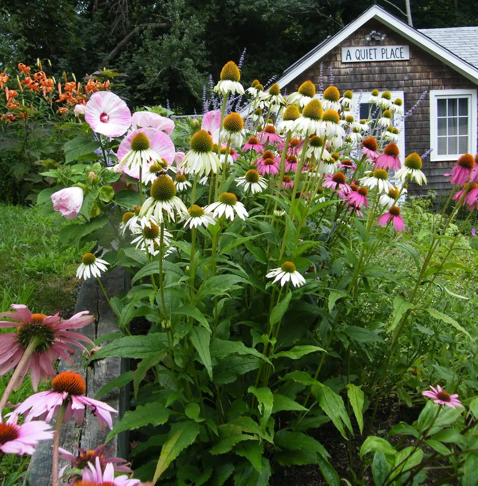 Trusted lawn care service in Falmouth, MA - Angela Rose Gardens