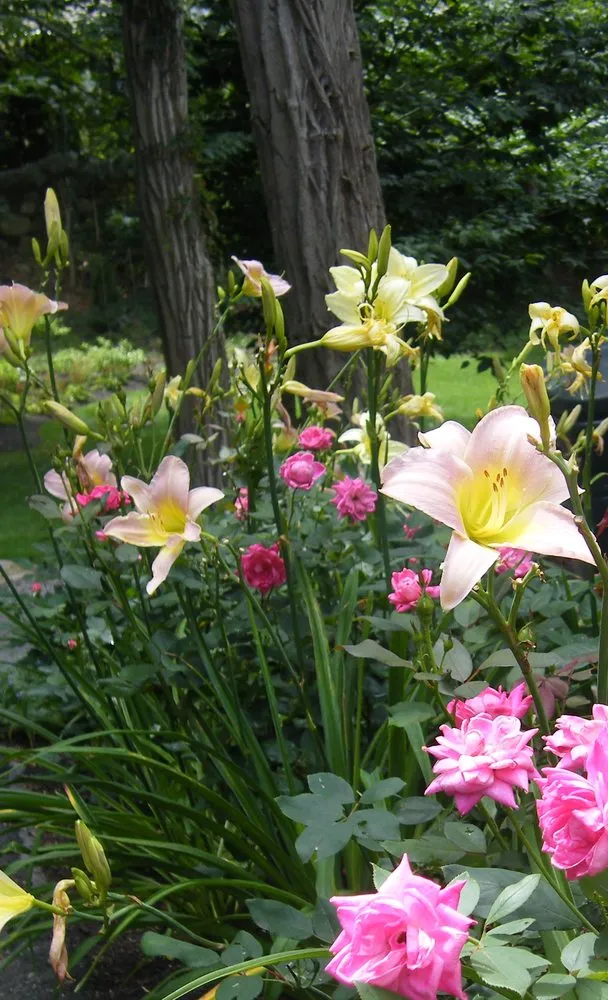 Custom residential landscaping for beautiful yards across Falmouth, MA - Angela Rose Gardens