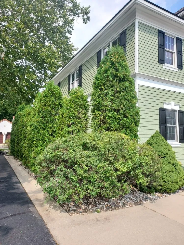 Affordable landscape installation experts serving Mount Pleasant, MI - Angela Stevens Landscapes