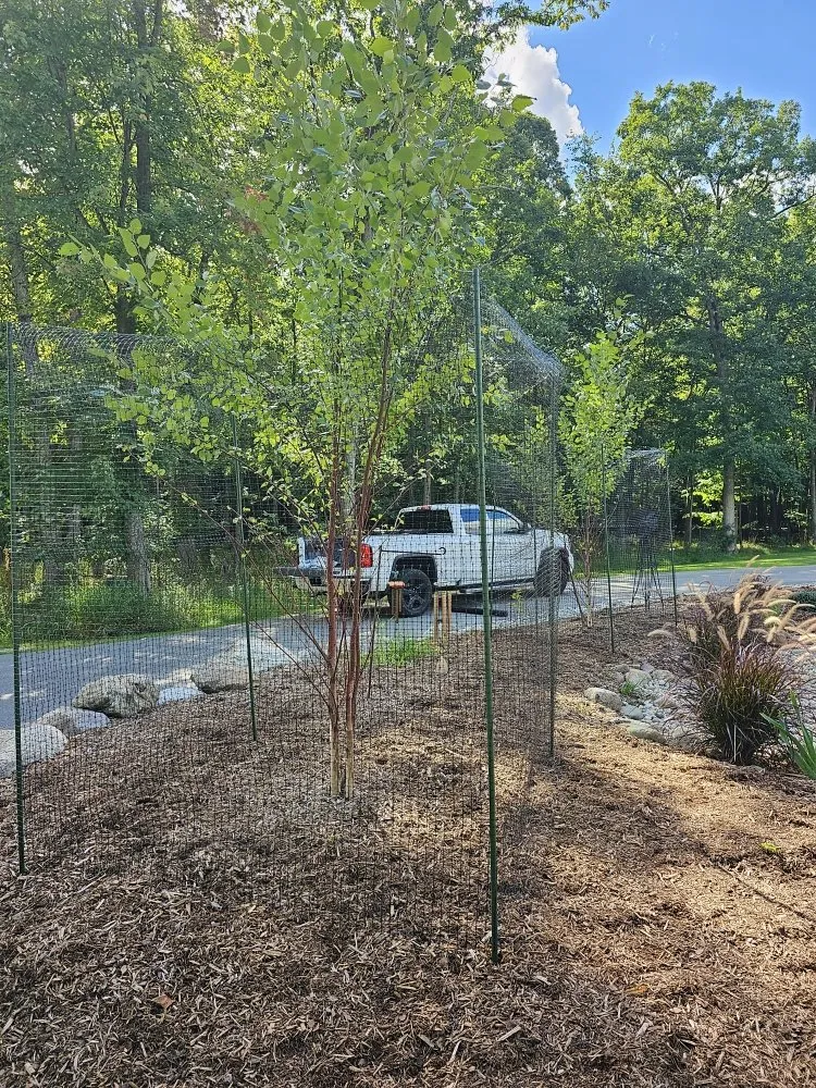 Professional lawn mowing service in Mount Pleasant, MI by Angela Stevens Landscapes