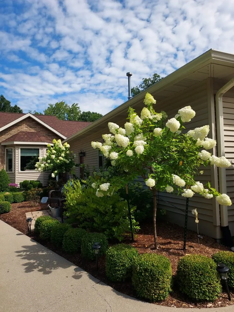 Expert garden landscaping in Mount Pleasant, MI - Angela Stevens Landscapes