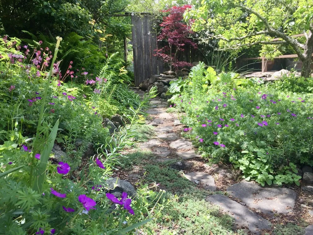 Local landscape design near you across San Francisco, CA - Angela's Garden Health and Maintenance