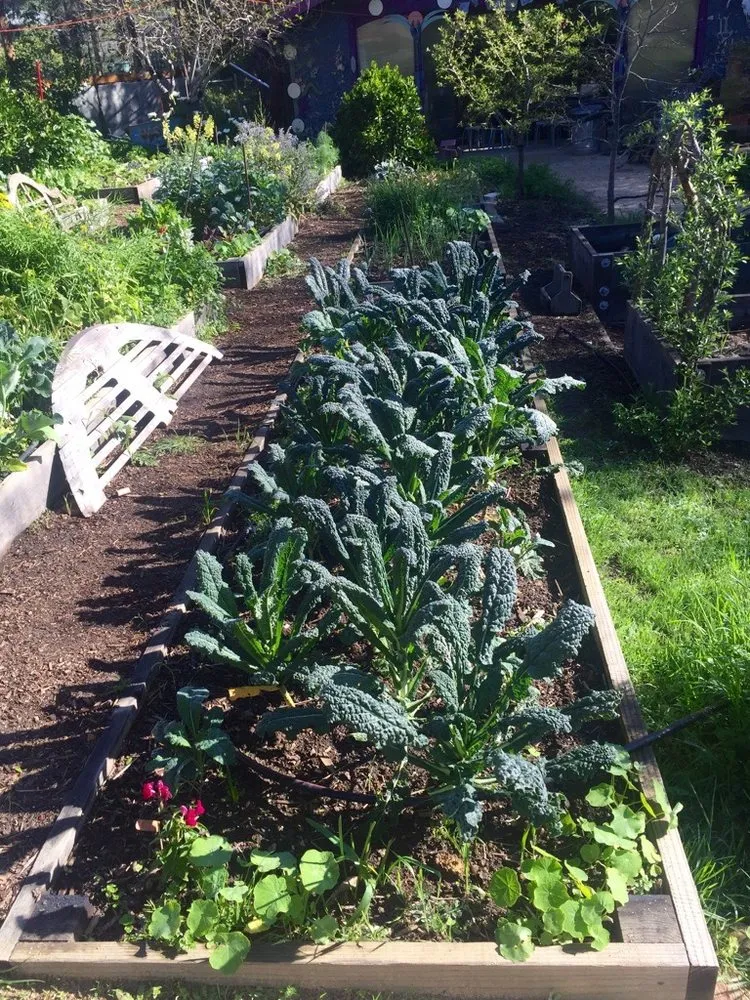 Expert lawn mowing service experts serving San Francisco, CA - Angela's Garden Health and Maintenance