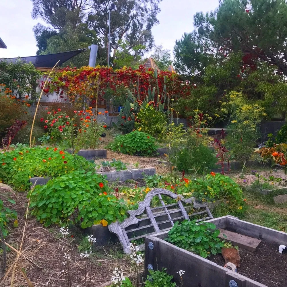 Top-rated yard maintenance for homes across San Francisco, CA - Angela's Garden Health and Maintenance