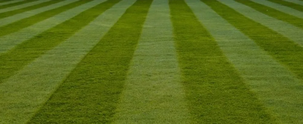 Affordable yard cleanup service in Pace, FL - Angela's Lawn Care