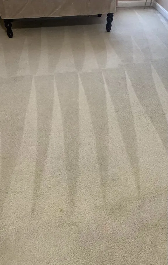 Reliable lawn care service in Leesburg, VA by Angeles Cleaning Services