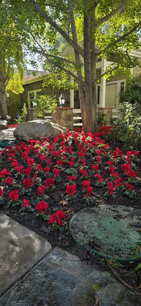 Top-rated landscape installation for homes across Pomona, CA - Angeles Landscaping and Construction