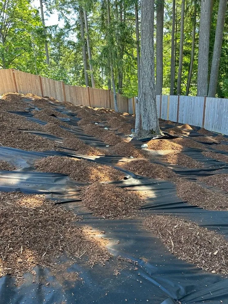 Affordable residential landscaping in Auburn, WA by Angeles Landscaping