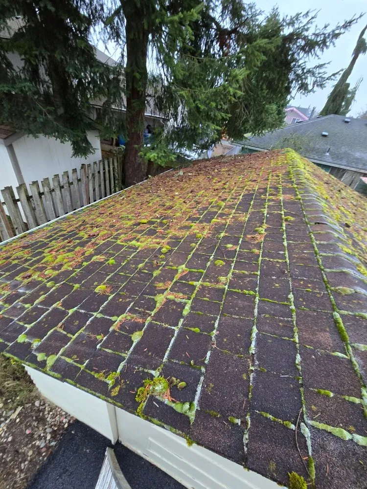 Professional lawn care service in Marysville, WA by Angeles Landscaping