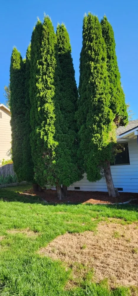 Custom landscaping services in Marysville, WA by Angeles Landscaping