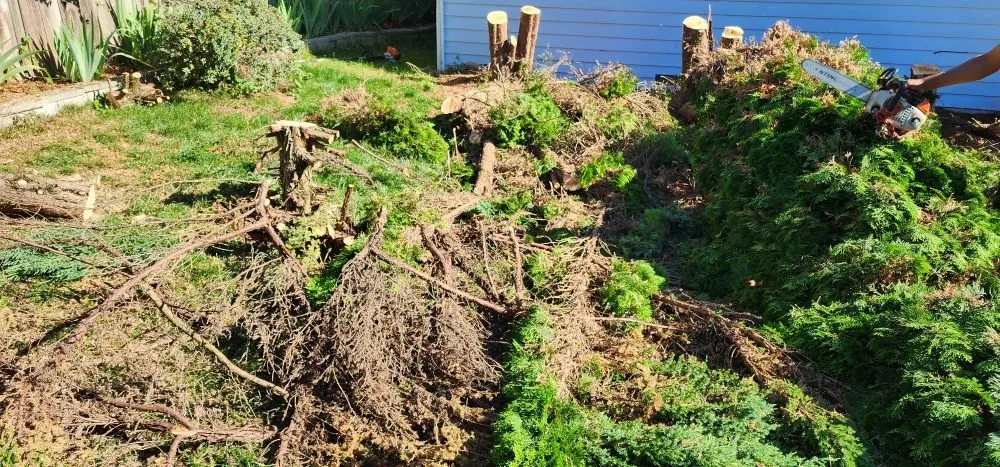 Affordable garden landscaping for outdoor upgrades across Marysville, WA - Angeles Landscaping