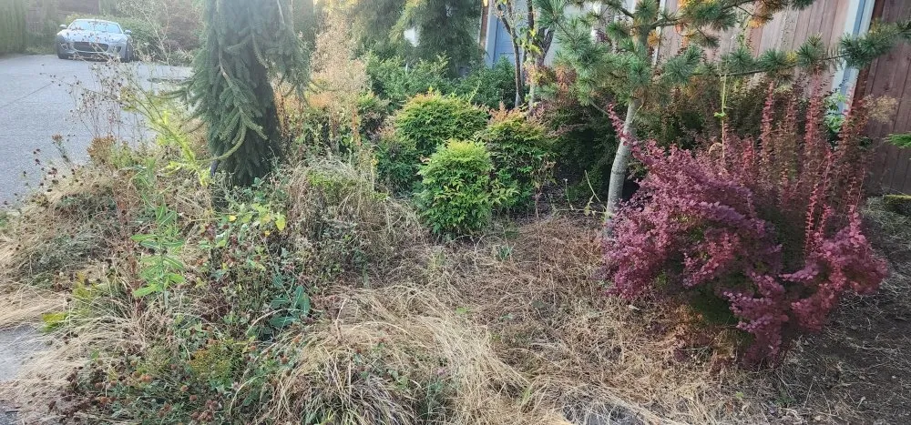 Top-rated outdoor landscaping in Marysville, WA - Angeles Landscaping