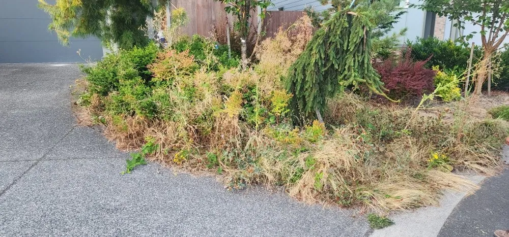 Trusted landscape design in Marysville, WA - Angeles Landscaping