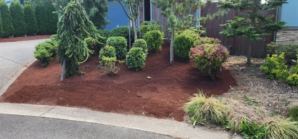 Reliable landscape installation experts serving Marysville, WA - Angeles Landscaping