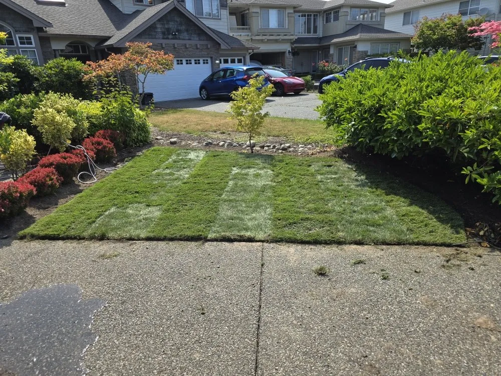 Top-rated landscaping services for year-round maintenance in Marysville, WA by Angeles Landscaping