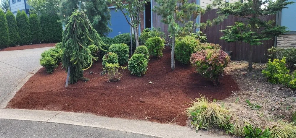 Affordable lawn care service in Marysville, WA by Angeles Landscaping