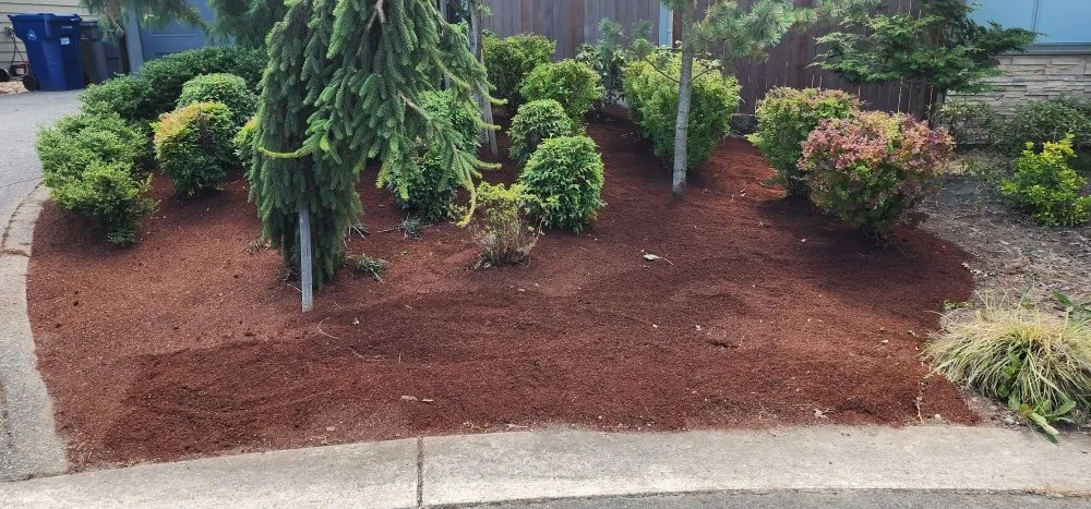 Local landscape installation for residential properties across Marysville, WA - Angeles Landscaping