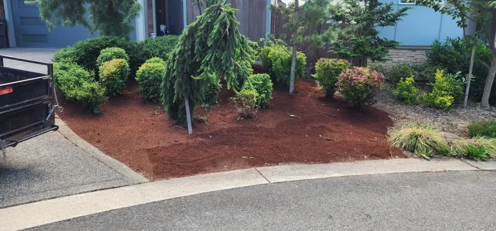 Trusted landscape installation for residential properties in Marysville, WA by Angeles Landscaping