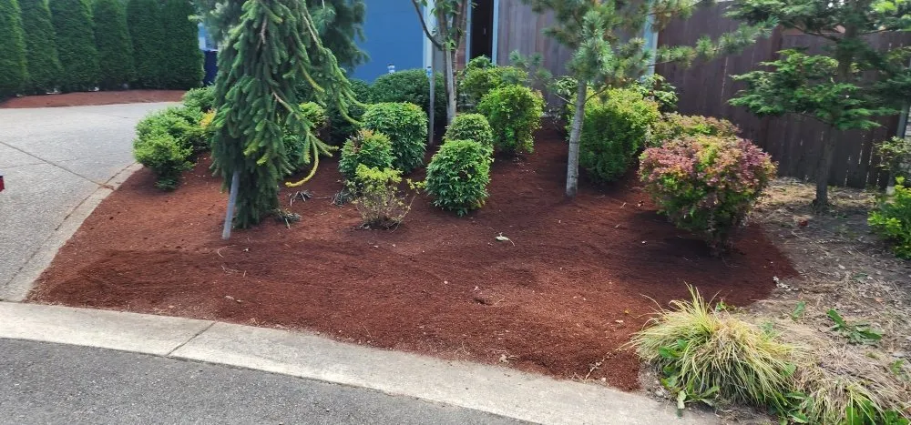 Reliable landscaping services in Marysville, WA - Angeles Landscaping