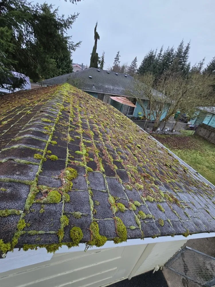 Local lawn care service in Marysville, WA - Angeles Landscaping