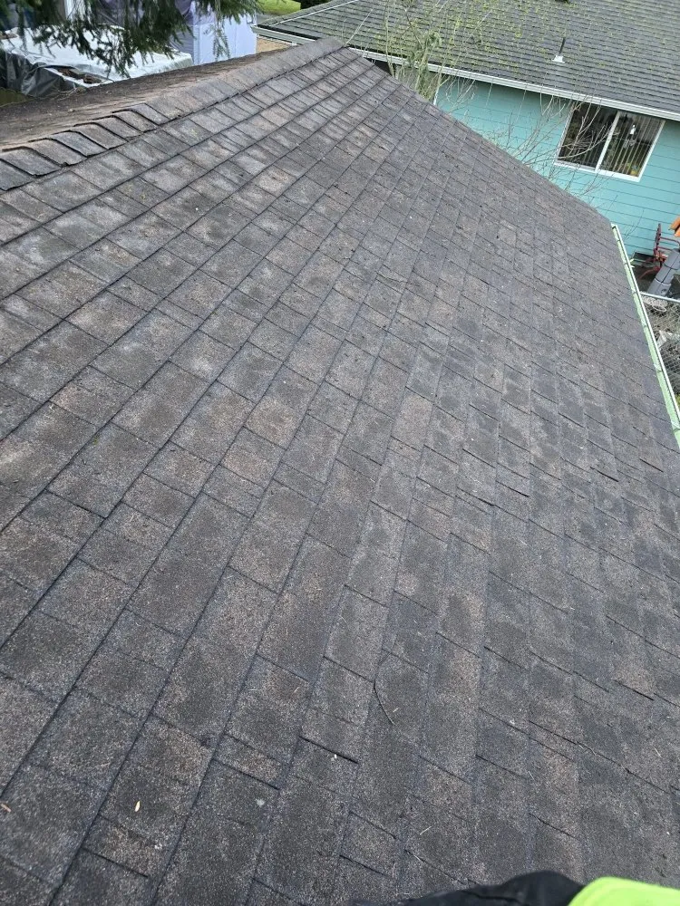 Affordable garden landscaping for year-round maintenance across Marysville, WA - Angeles Landscaping