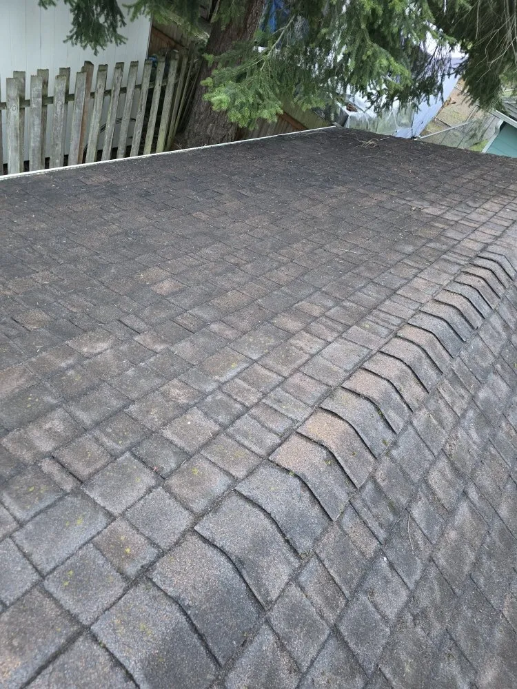 Affordable yard maintenance in Marysville, WA by Angeles Landscaping