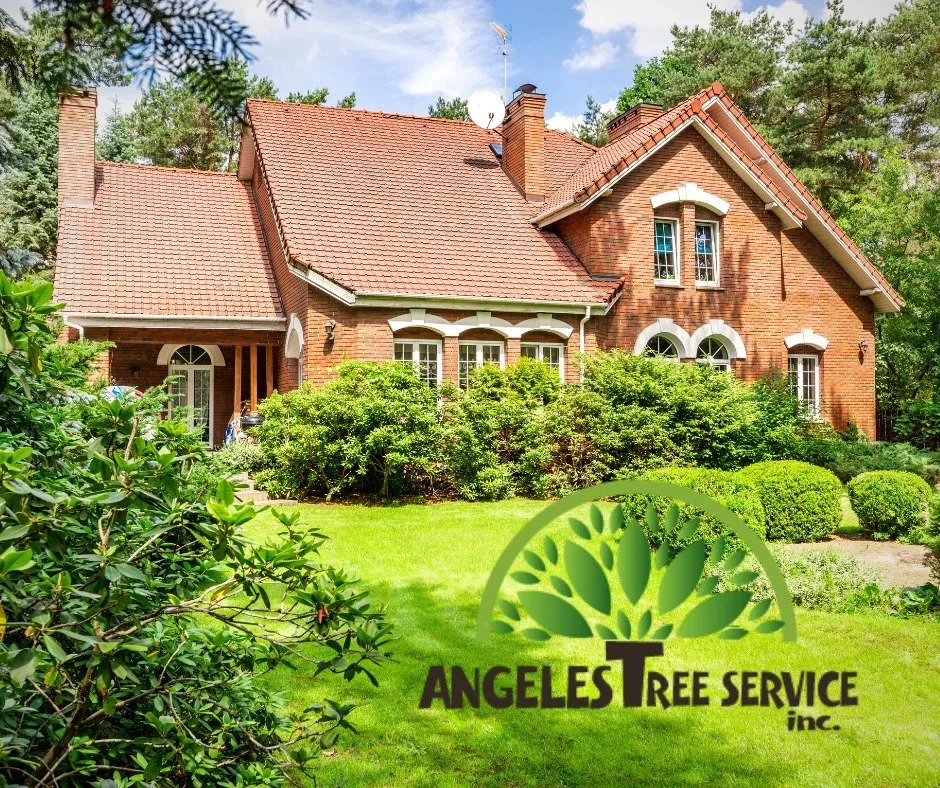 Top-rated lawn mowing service in Aurora, IL by Angeles Tree Services