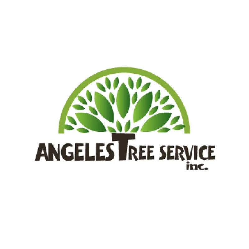 Custom outdoor landscaping in Aurora, IL - Angeles Tree Services
