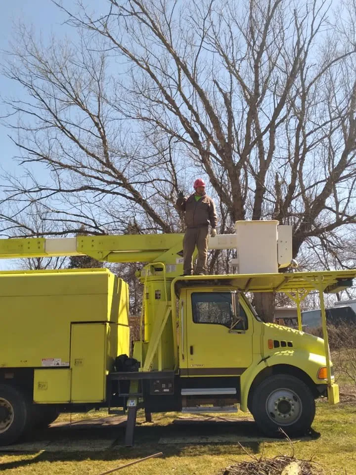 Custom landscape installation in Aurora, IL - Angeles Tree Services