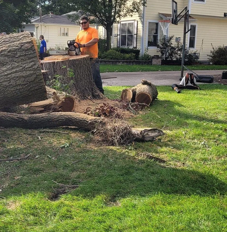 Professional lawn care service in Aurora, IL - Angeles Tree Services