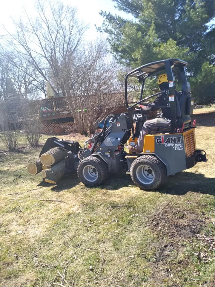 Professional landscape installation in Aurora, IL by Angeles Tree Services