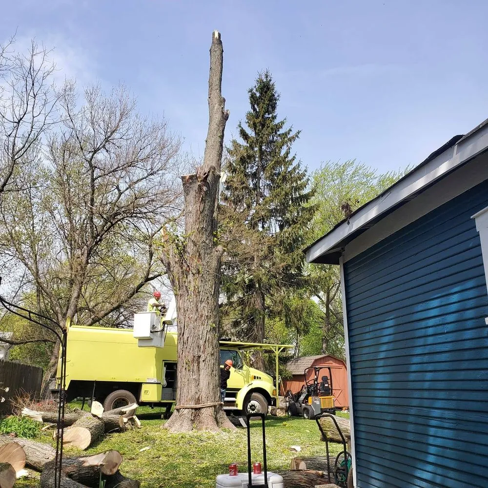 Expert landscaping services in Aurora, IL - Angeles Tree Services