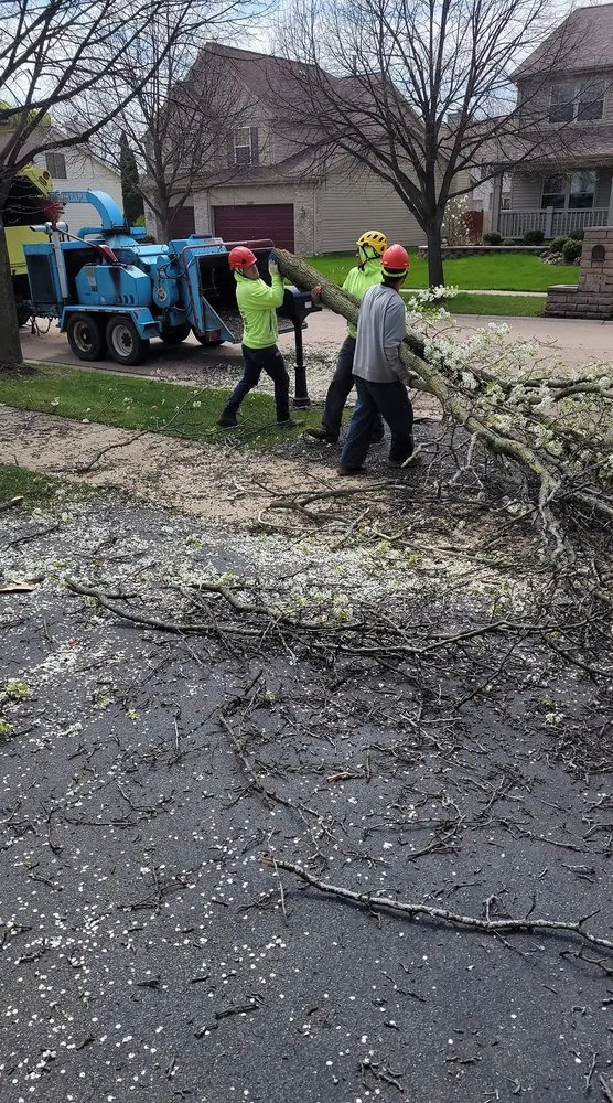 Expert yard maintenance for beautiful yards across Aurora, IL - Angeles Tree Services