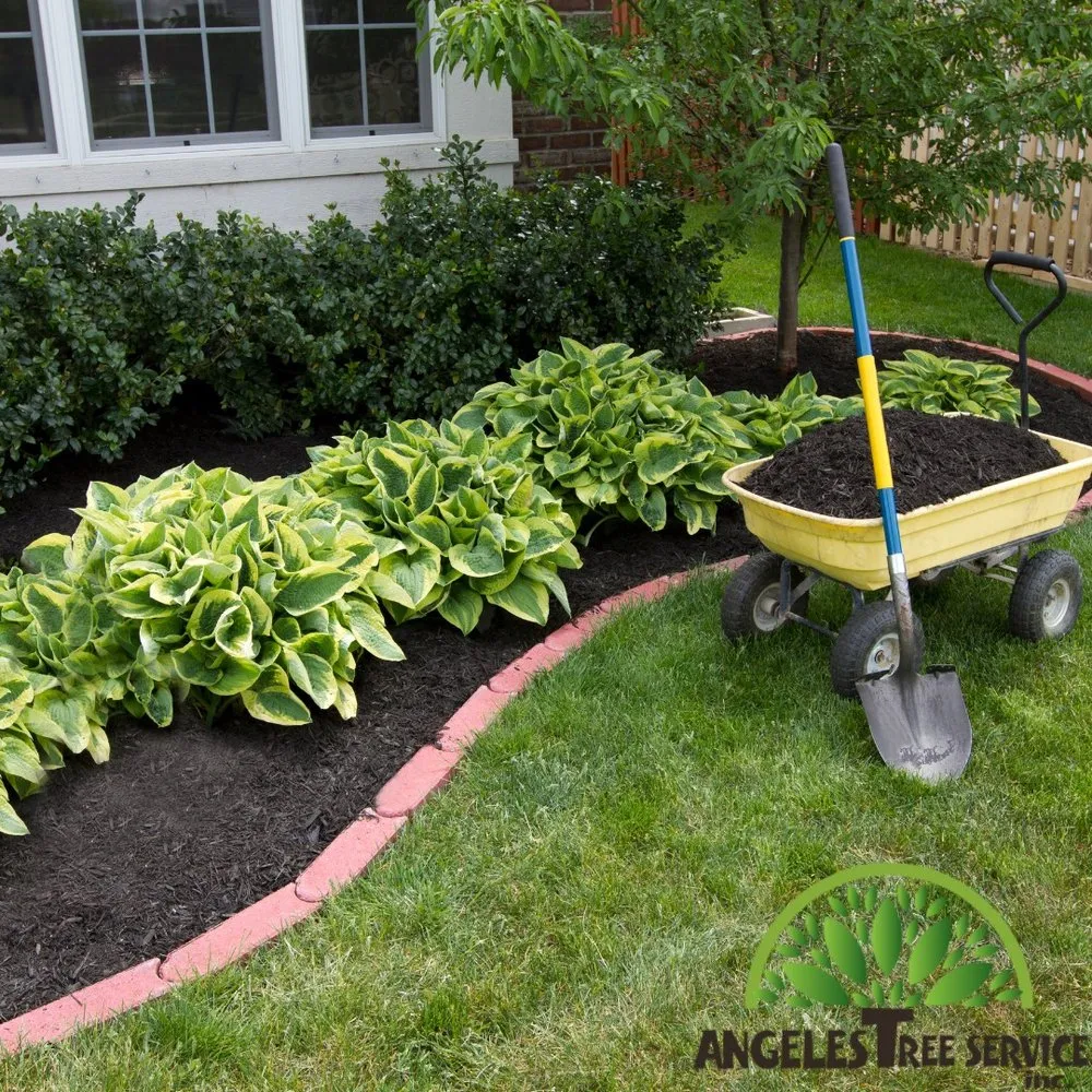 Affordable residential landscaping in Aurora, IL - Angeles Tree Services