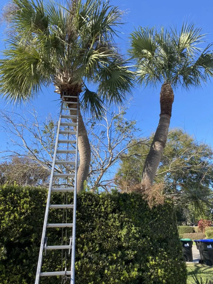 Affordable outdoor landscaping in Apopka, FL by AngelGreen Outdoors