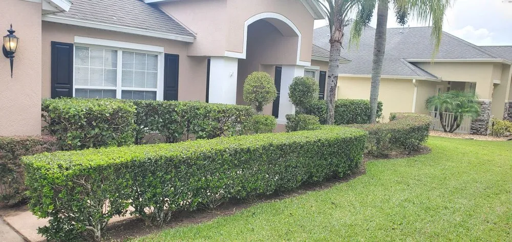 Expert yard maintenance for homes across Apopka, FL - AngelGreen Outdoors