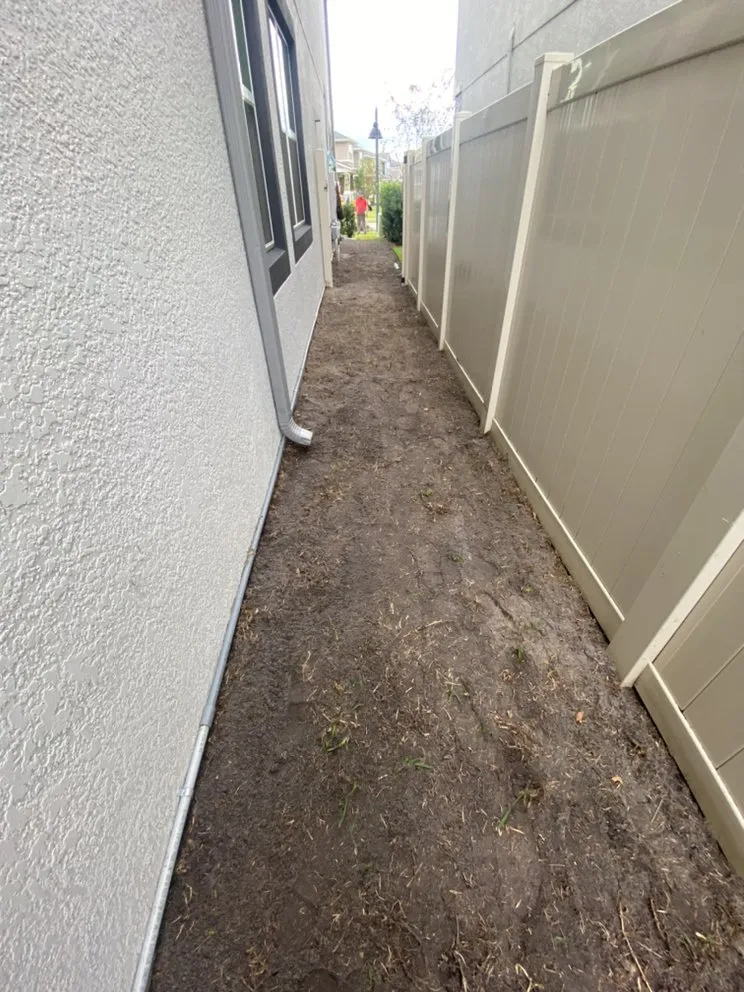 Affordable yard cleanup service for residential properties in Apopka, FL by AngelGreen Outdoors