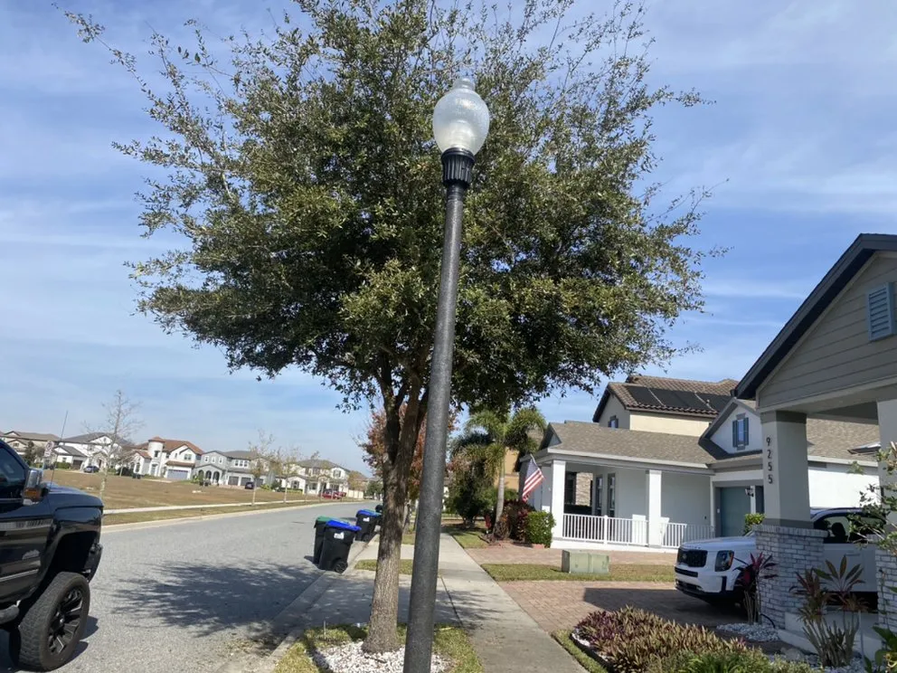 Local yard cleanup service in Apopka, FL - AngelGreen Outdoors