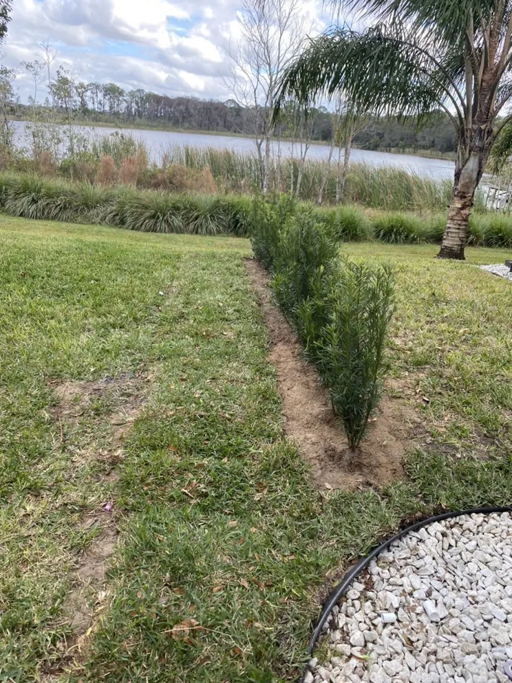 Trusted lawn care service in Apopka, FL - AngelGreen Outdoors