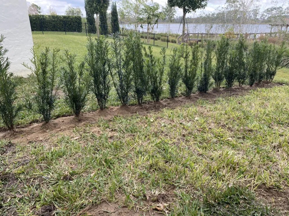 Professional lawn care service experts serving Apopka, FL - AngelGreen Outdoors