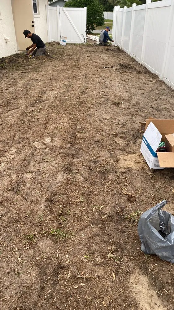 Professional yard cleanup service in Apopka, FL - AngelGreen Outdoors