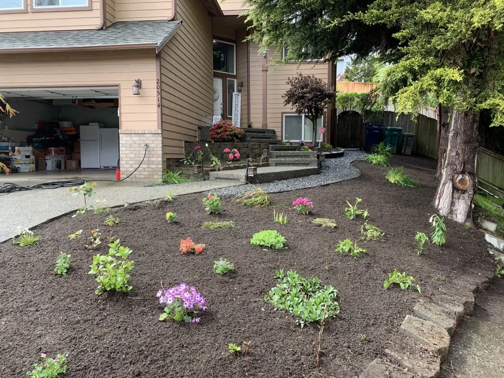 Reliable yard maintenance in Seattle, WA - Angelica Landscaping