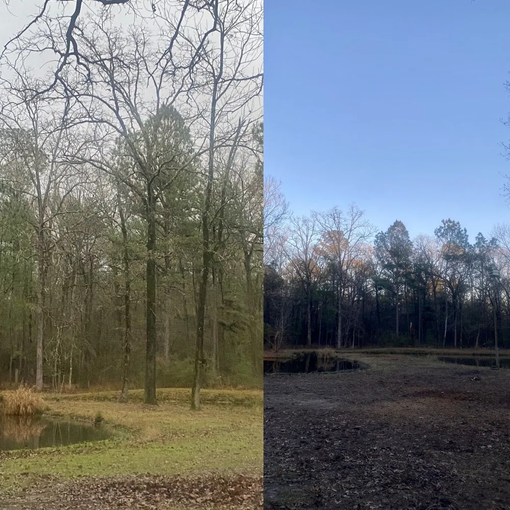 Trusted landscaping services for year-round maintenance across Huntington, TX - Angelina Landscaping