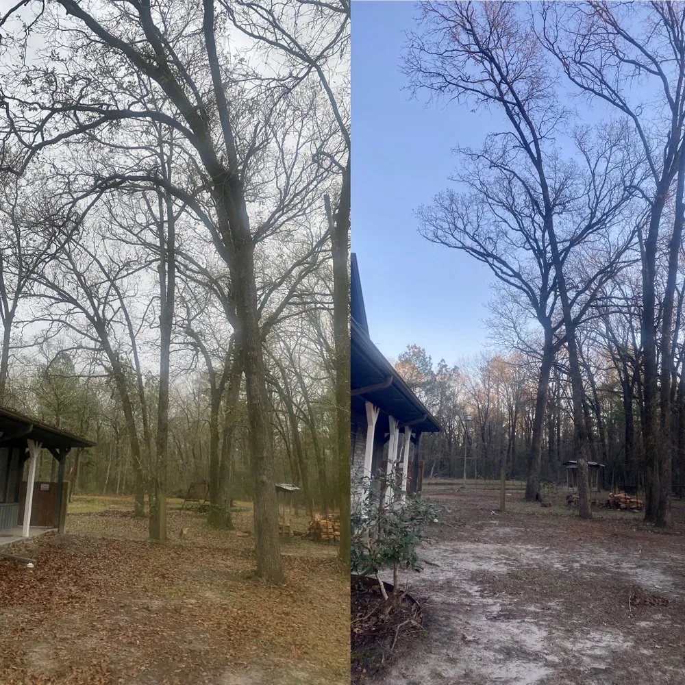 Expert yard maintenance in Huntington, TX - Angelina Landscaping