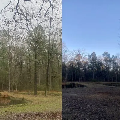 Angelina Landscaping