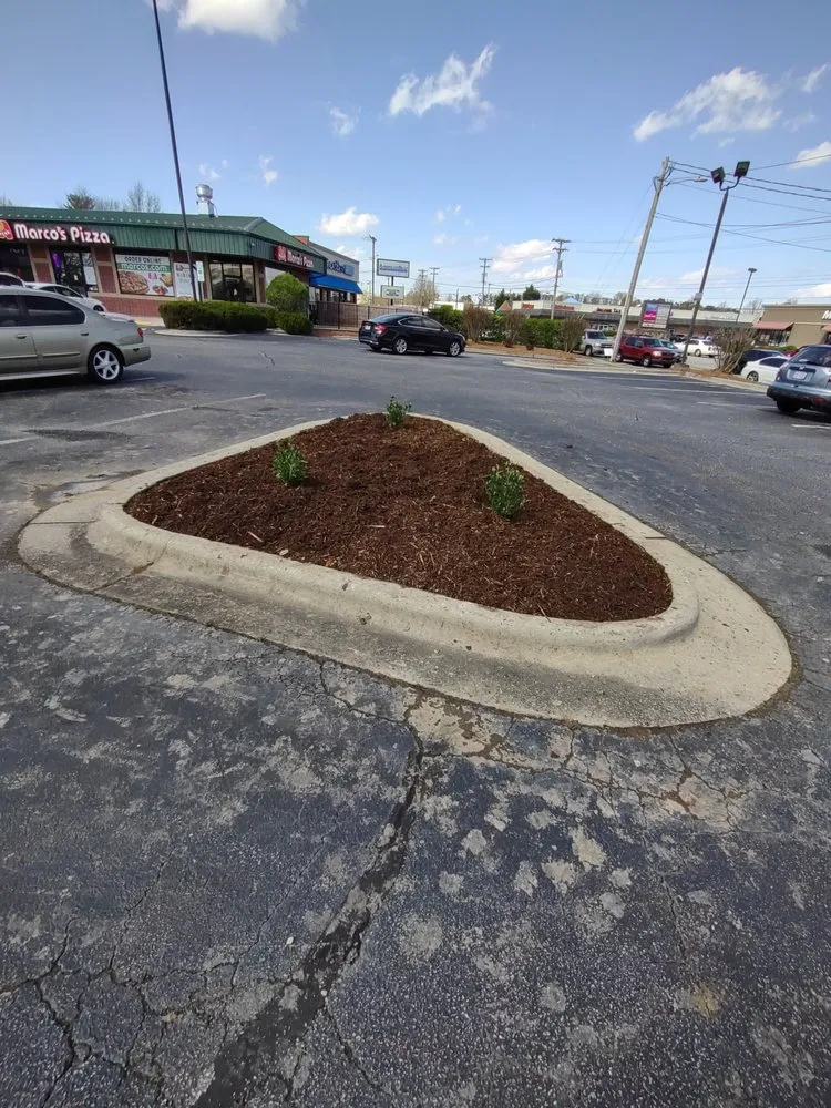 Professional residential landscaping for year-round maintenance in High Point, NC by Angelino Landscaping