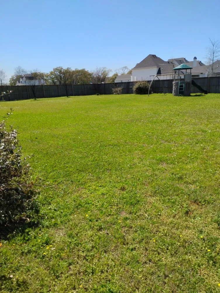 Affordable yard cleanup service for residential properties across Lafayette, LA - Angelles Lawn, Tree and Pressure Washing