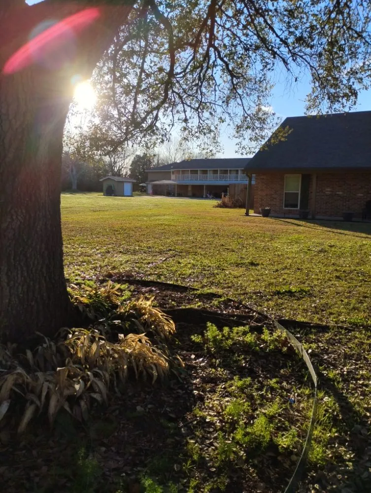 Trusted lawn mowing service experts serving Lafayette, LA - Angelles Lawn, Tree and Pressure Washing