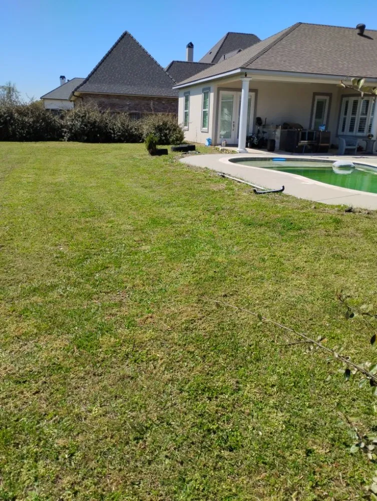 Reliable yard maintenance in Lafayette, LA by Angelles Lawn, Tree and Pressure Washing